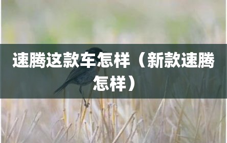 速腾这款车怎样（新款速腾怎样）