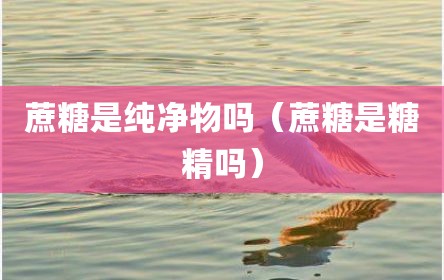 蔗糖是纯净物吗（蔗糖是糖精吗）
