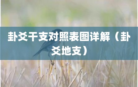卦爻干支对照表图详解（卦爻地支）