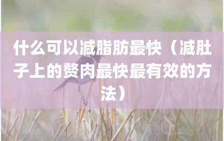 什么可以减脂肪最快（减肚子上的赘肉最快最有效的方法）