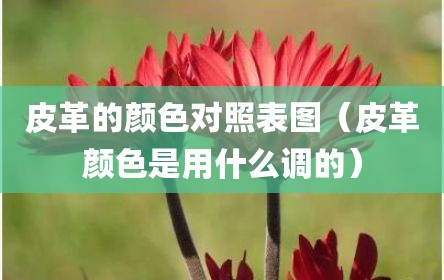 皮革的颜色对照表图（皮革颜色是用什么调的）
