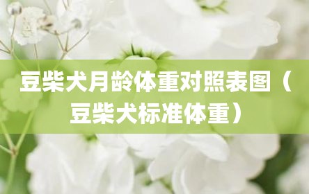豆柴犬月龄体重对照表图（豆柴犬标准体重）