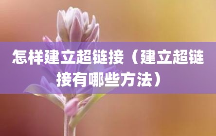 怎样建立超链接（建立超链接有哪些方法）
