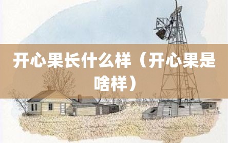 开心果长什么样（开心果是啥样）