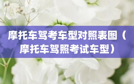 摩托车驾考车型对照表图（摩托车驾照考试车型）