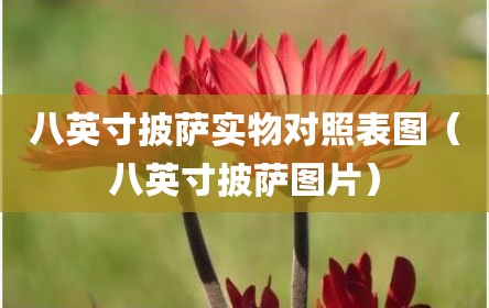 八英寸披萨实物对照表图（八英寸披萨图片）