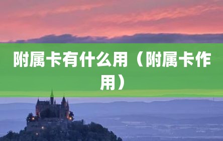 附属卡有什么用（附属卡作用）