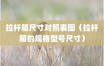 拉杆箱尺寸对照表图（拉杆箱的规格型号尺寸）