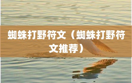 蜘蛛打野符文（蜘蛛打野符文推荐）