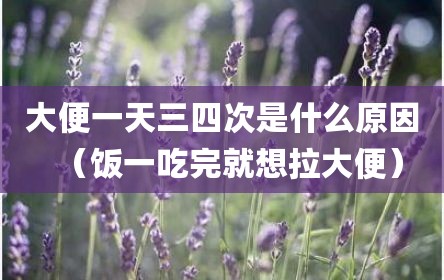 大便一天三四次是什么原因（饭一吃完就想拉大便）