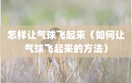怎样让气球飞起来（如何让气球飞起来的方法）