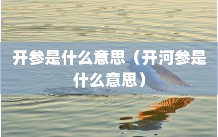 开参是什么意思（开河参是什么意思）