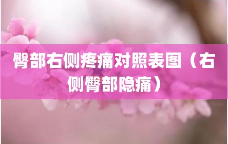 臀部右侧疼痛对照表图（右侧臀部隐痛）