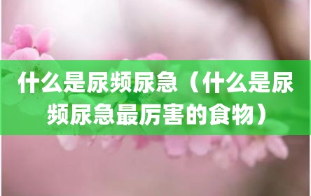 什么是尿频尿急（什么是尿频尿急最厉害的食物）