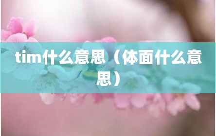 tim什么意思（体面什么意思）