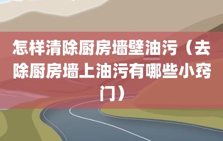 怎样清除厨房墙壁油污（去除厨房墙上油污有哪些小窍门）