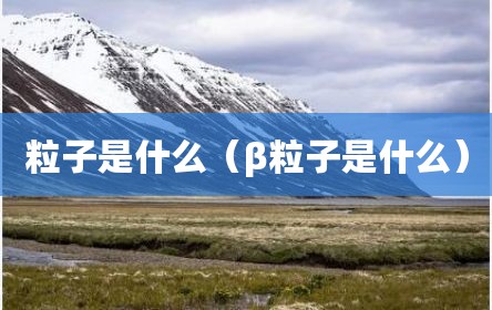 粒子是什么（β粒子是什么）