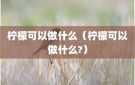 柠檬可以做什么（柠檬可以做什么?）