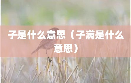 子是什么意思（子满是什么意思）