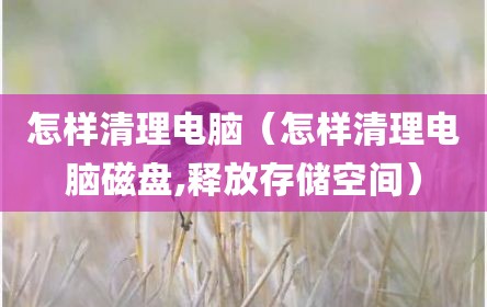 怎样清理电脑（怎样清理电脑磁盘,释放存储空间）