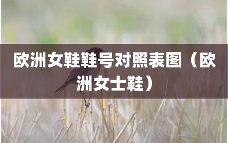 欧洲女鞋鞋号对照表图（欧洲女士鞋）