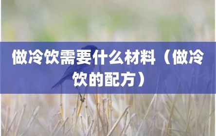 做冷饮需要什么材料（做冷饮的配方）