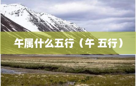 午属什么五行（午 五行）