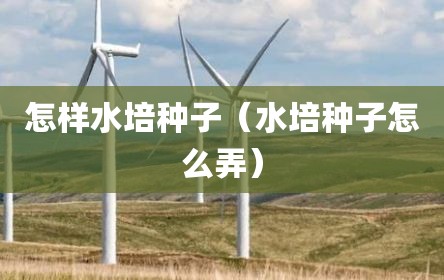 怎样水培种子（水培种子怎么弄）