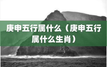 庚申五行属什么（庚申五行属什么生肖）