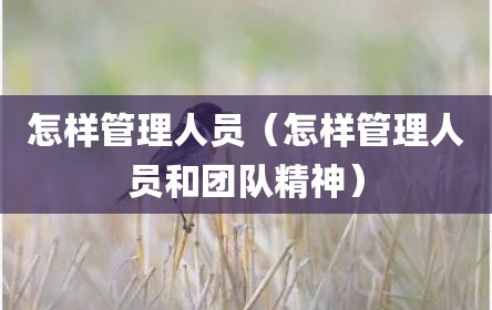 怎样管理人员（怎样管理人员和团队精神）