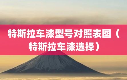 特斯拉车漆型号对照表图（特斯拉车漆选择）