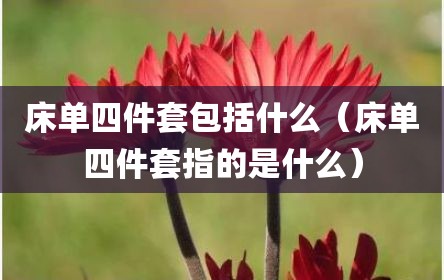 床单四件套包括什么（床单四件套指的是什么）