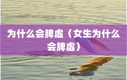 为什么会脾虚（女生为什么会脾虚）