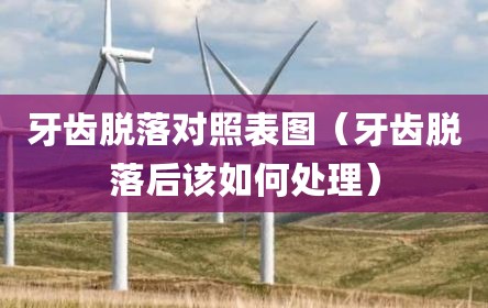 牙齿脱落对照表图（牙齿脱落后该如何处理）