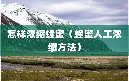 怎样浓缩蜂蜜（蜂蜜人工浓缩方法）