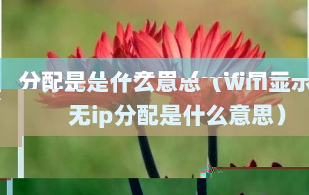 分配是什么意思（wifi显示无ip分配是什么意思）