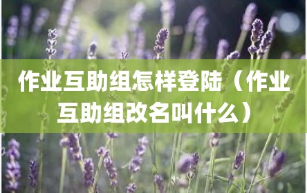 作业互助组怎样登陆（作业互助组改名叫什么）