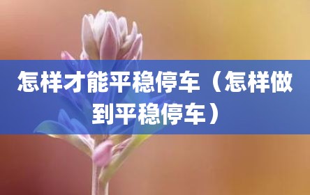 怎样才能平稳停车（怎样做到平稳停车）