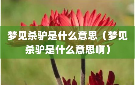 梦见杀驴是什么意思（梦见杀驴是什么意思啊）