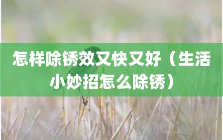 怎样除锈效又快又好（生活小妙招怎么除锈）
