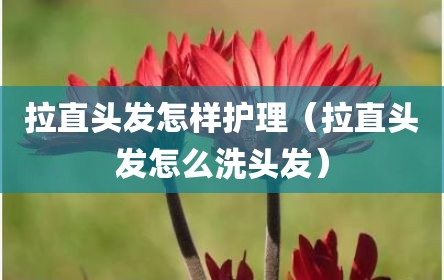 拉直头发怎样护理（拉直头发怎么洗头发）