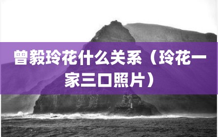 曾毅玲花什么关系（玲花一家三口照片）