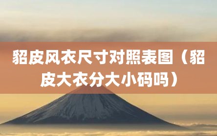 貂皮风衣尺寸对照表图（貂皮大衣分大小码吗）