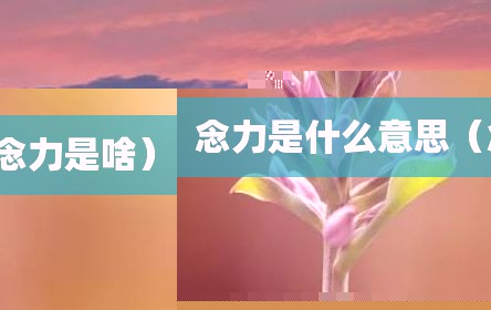 念力是什么意思（念力是啥）