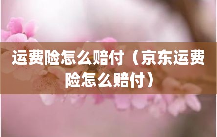 运费险怎么赔付（京东运费险怎么赔付）