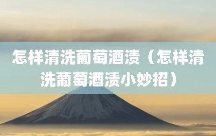 怎样清洗葡萄酒渍（怎样清洗葡萄酒渍小妙招）