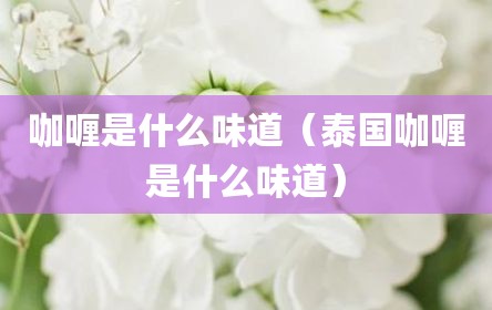 咖喱是什么味道（泰国咖喱是什么味道）