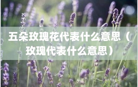 五朵玫瑰花代表什么意思（玫瑰代表什么意思）