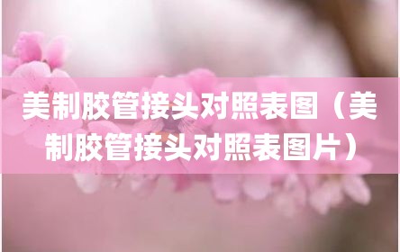 美制胶管接头对照表图（美制胶管接头对照表图片）