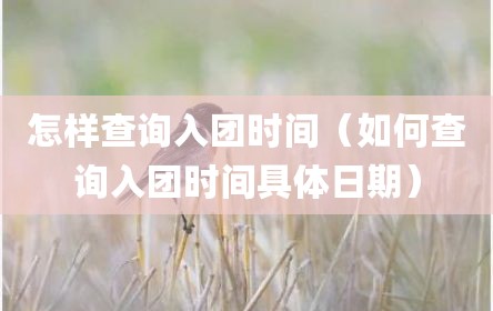 怎样查询入团时间（如何查询入团时间具体日期）